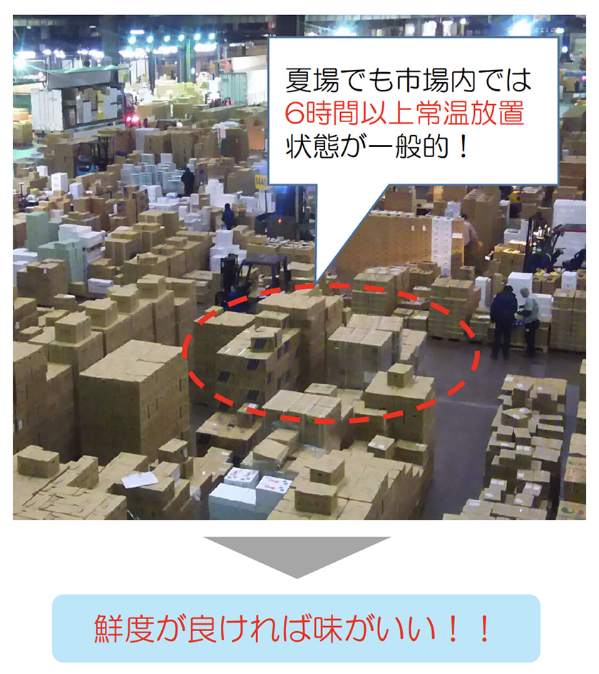 夏場でも市場内では6時間以上常温放置状態が一般的！ 鮮度が良ければ味がいい！！