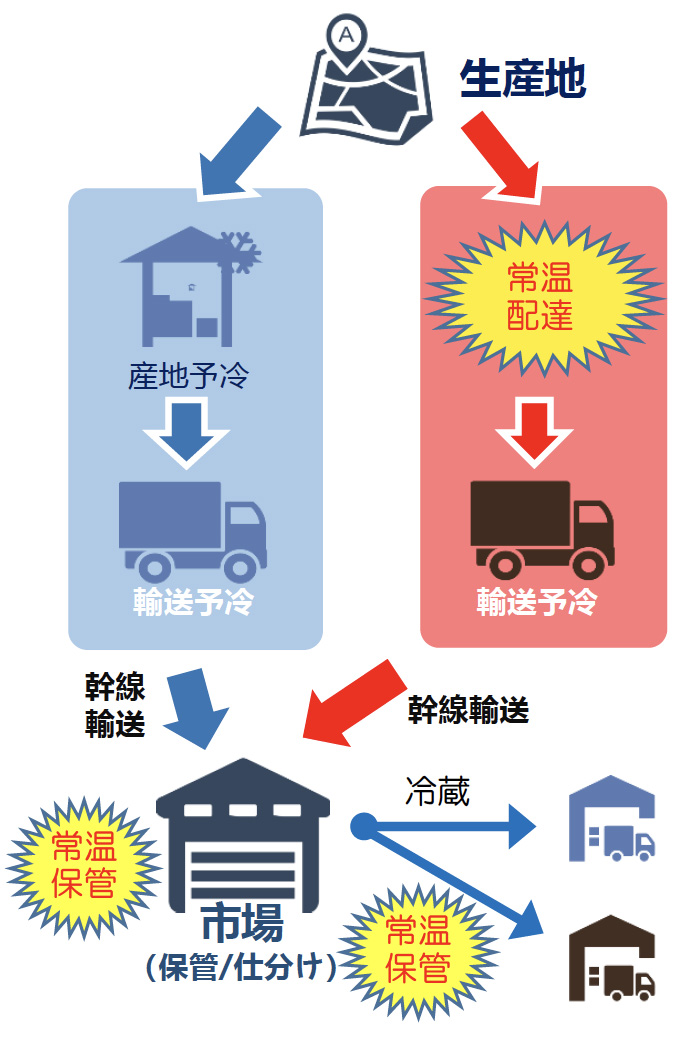 生産地から市場（保管/仕分け）への輸送例の図